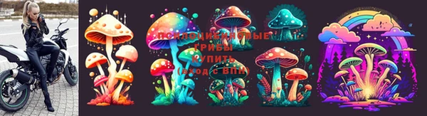 спайс Дмитров