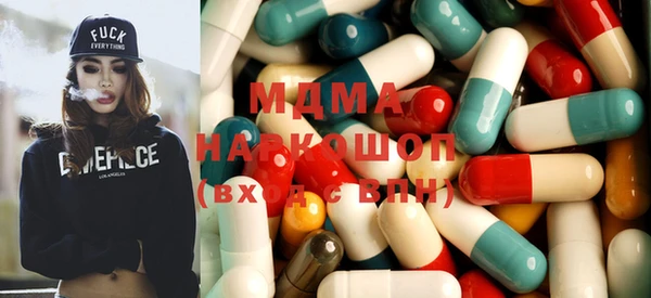 стаф Ельня