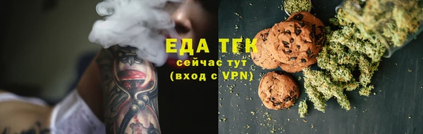 стаф Ельня