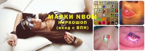 стаф Ельня