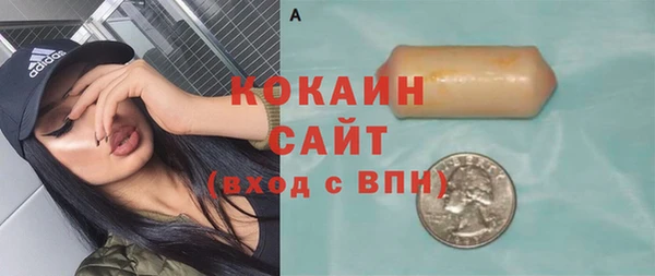 стаф Ельня