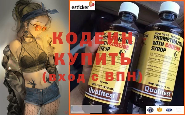 стаф Ельня