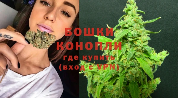 стаф Ельня