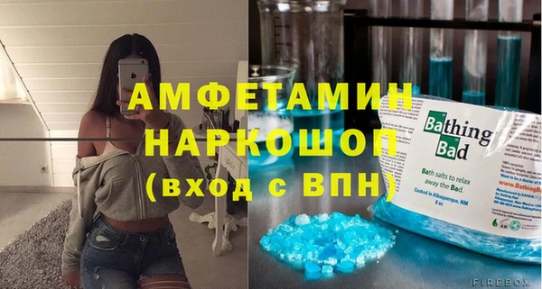 стаф Ельня
