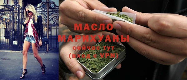 стаф Ельня
