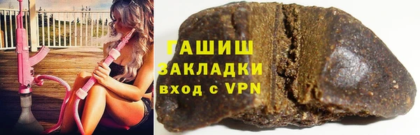 стаф Ельня