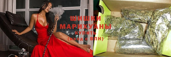 стаф Ельня