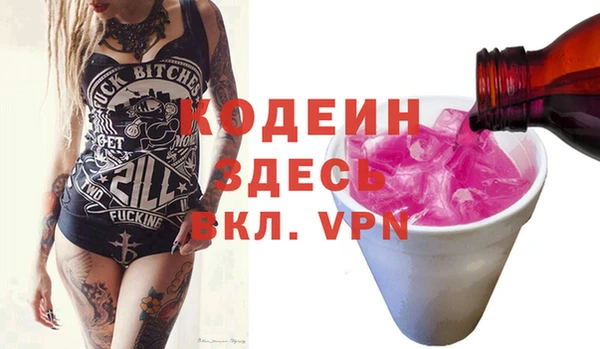 стаф Ельня