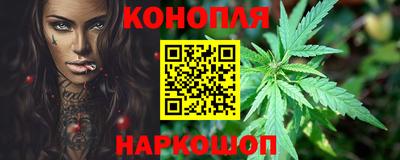 шишки Гагарин