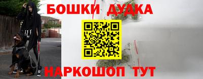 шишки Гагарин