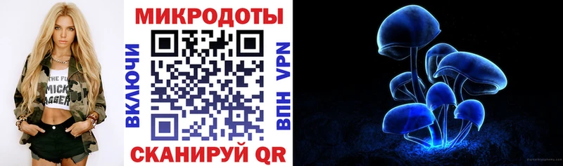 блэк спрут ссылка Знаменск Псилоцибиновые грибы Psilocybine cubensis