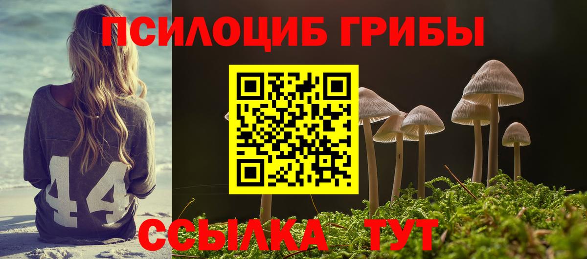 наркота  Знаменск  Галлюциногенные грибы Cubensis 