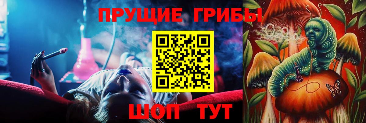 Знаменск  Галлюциногенные грибы прущие грибы  Вход с VPN 