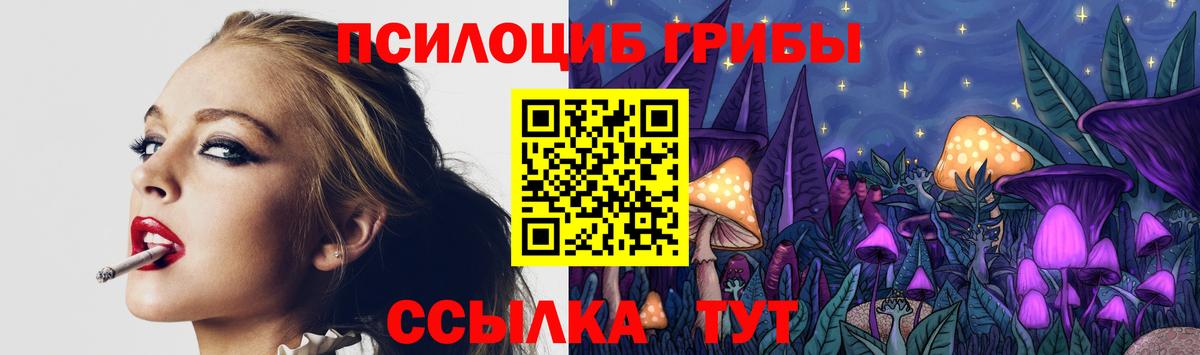 Галлюциногенные грибы Psilocybe Знаменск